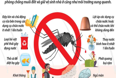 Bài tuyên truyền Tăng cường công tác phòng, chống bệnh Sốt xuất huyết