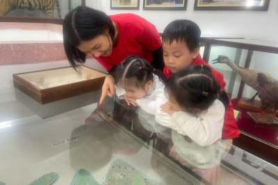 TRƯỜNG MẦM NON NAM BÌNH TỔ CHỨC CHO TRẺ DÂNG HƯƠNG, THĂM QUAN BẢO TÀNG NINH BÌNH